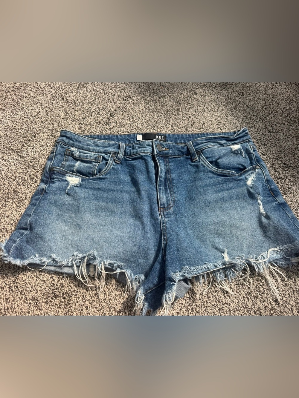 Kut from the Kloth size 16